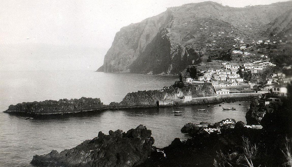 www.tripmadeira.com www.tripmadeira.com