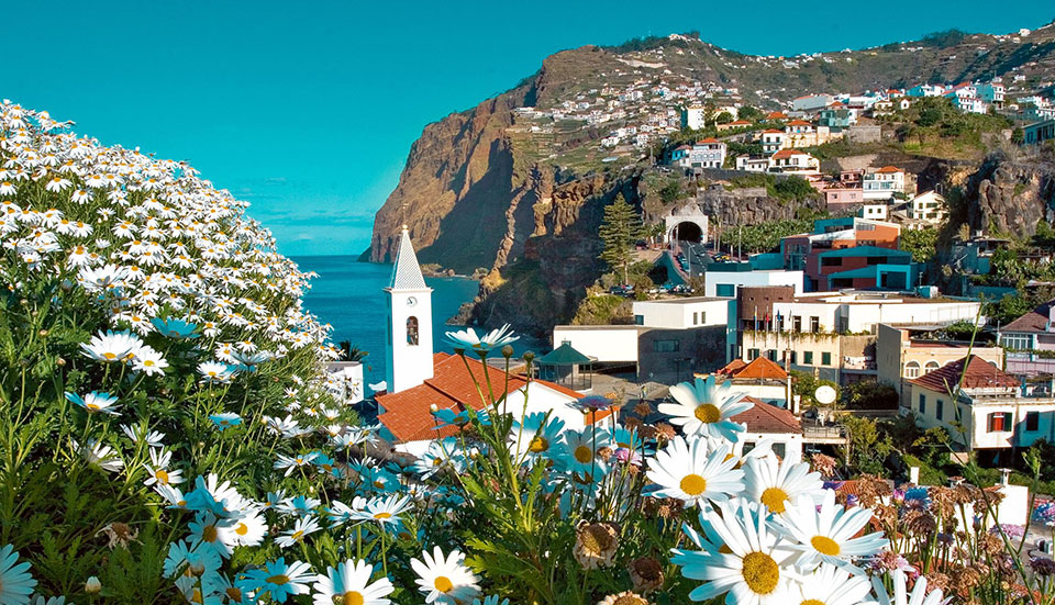 www.tripmadeira.com www.tripmadeira.com