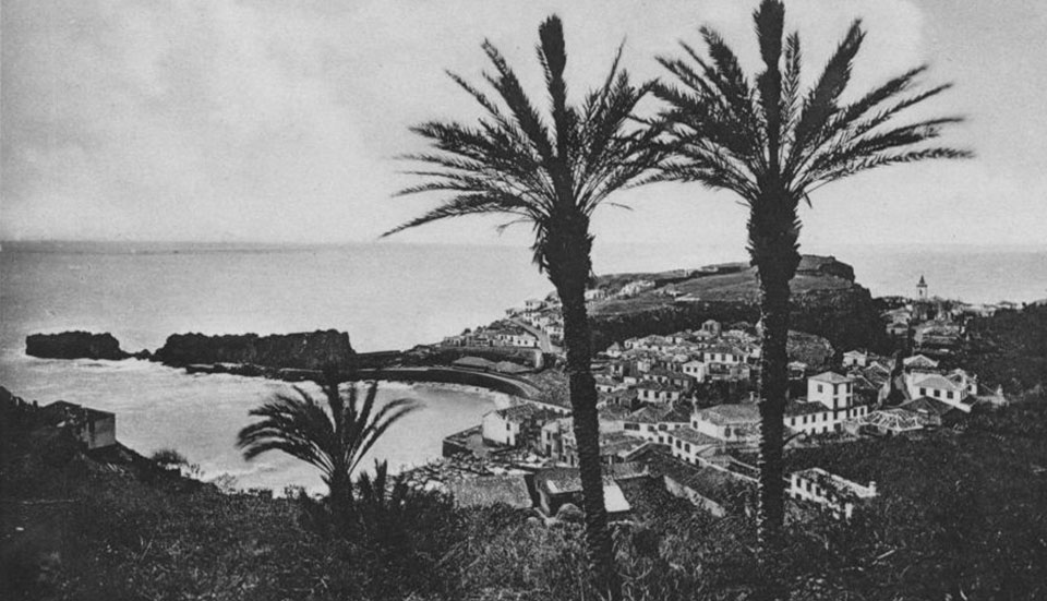 www.tripmadeira.com www.tripmadeira.com