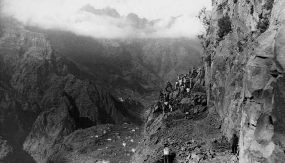 www.tripmadeira.com www.tripmadeira.com