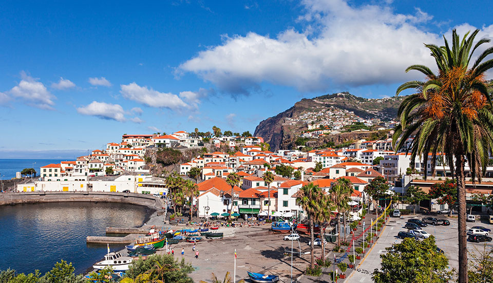 www.tripmadeira.com www.tripmadeira.com