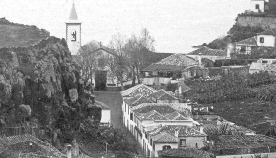 www.tripmadeira.com www.tripmadeira.com