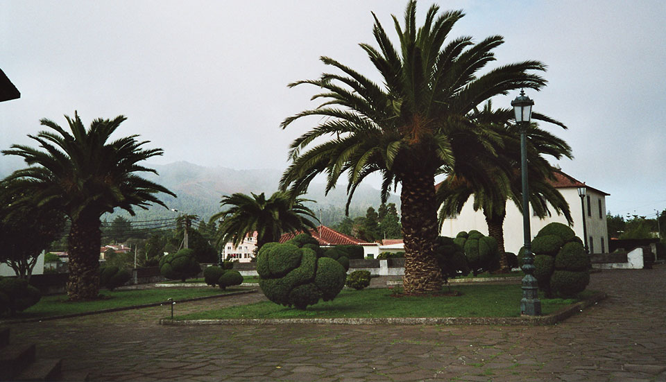 www.tripmadeira.com www.tripmadeira.com