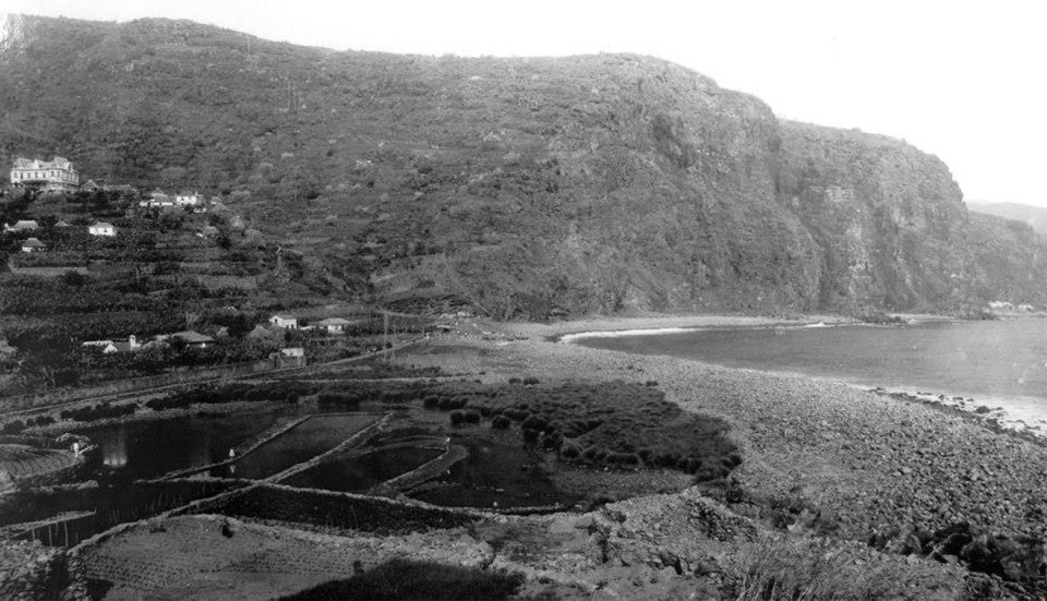 www.tripmadeira.com www.tripmadeira.com