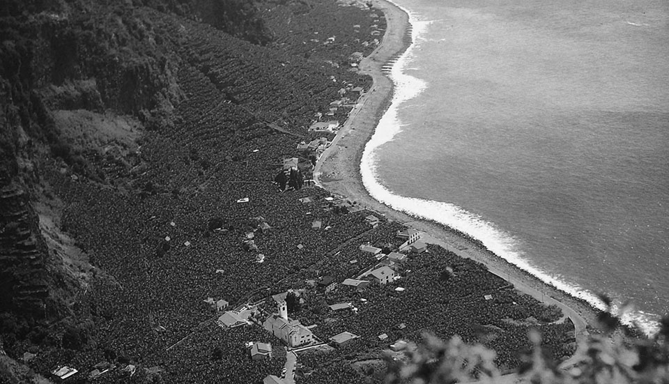 www.tripmadeira.com www.tripmadeira.com