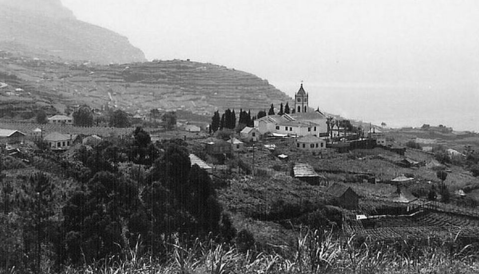www.tripmadeira.com www.tripmadeira.com