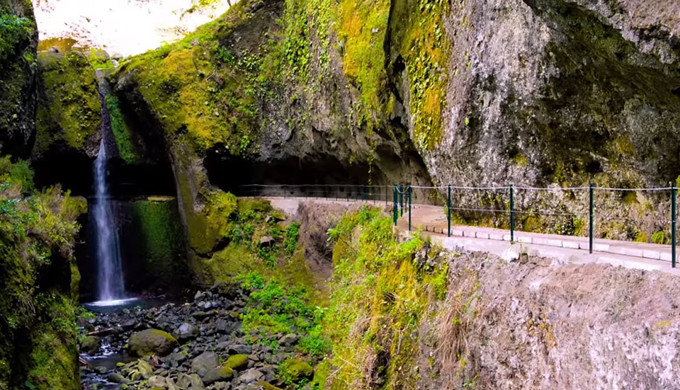 www.tripmadeira.com www.tripmadeira.com