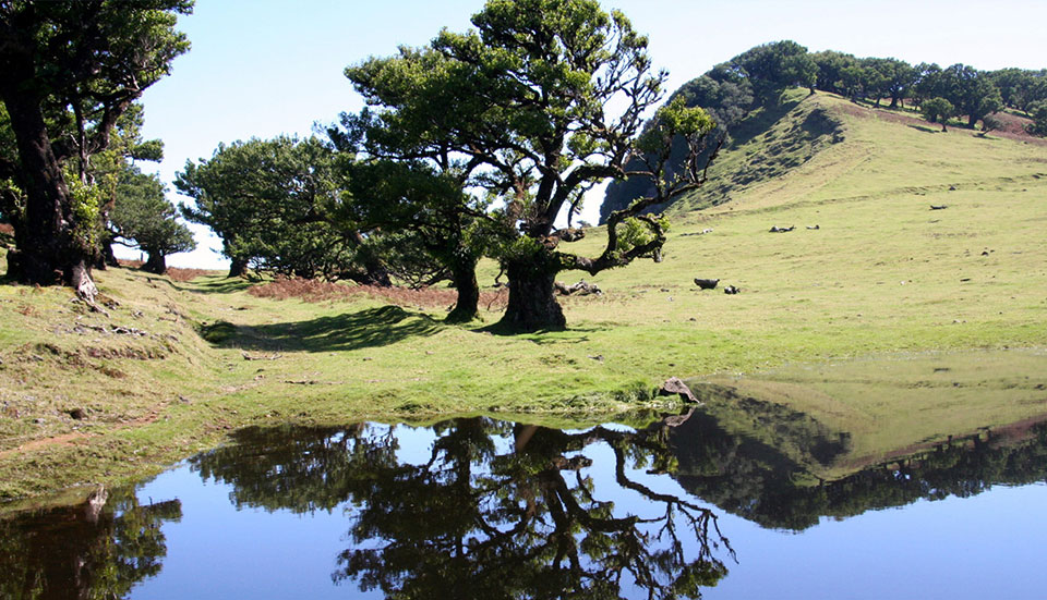 www.tripmadeira.com www.tripmadeira.com