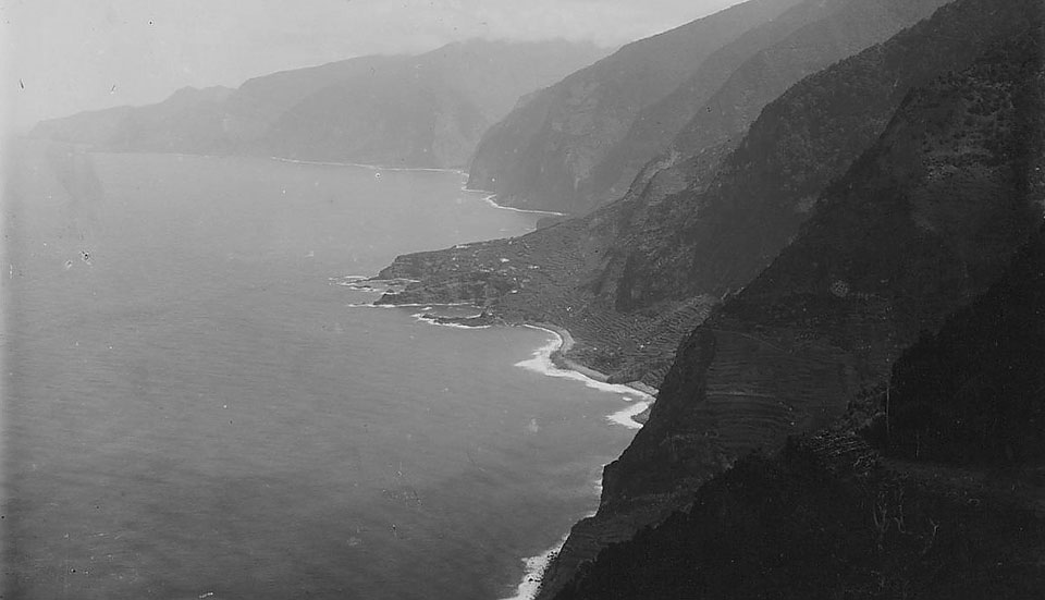 www.tripmadeira.com www.tripmadeira.com