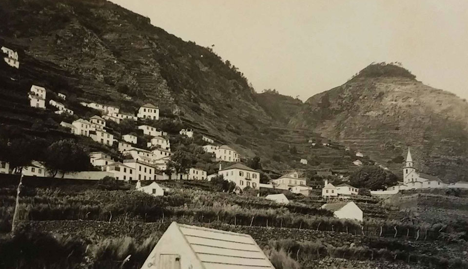 www.tripmadeira.com www.tripmadeira.com