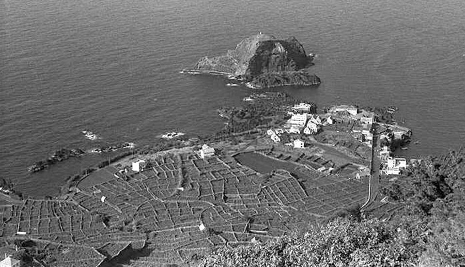 www.tripmadeira.com www.tripmadeira.com