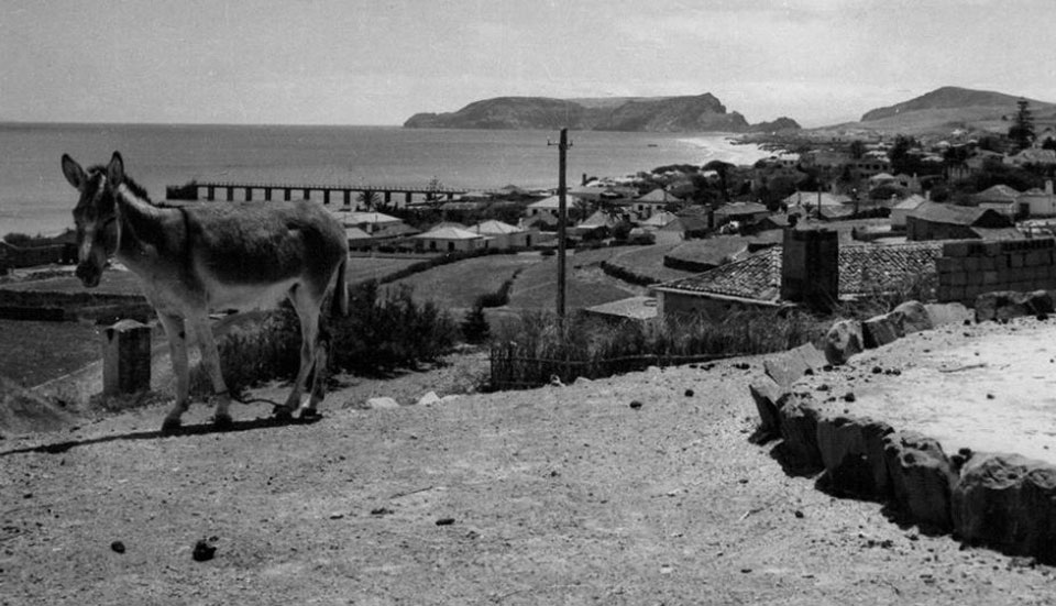 www.tripmadeira.com