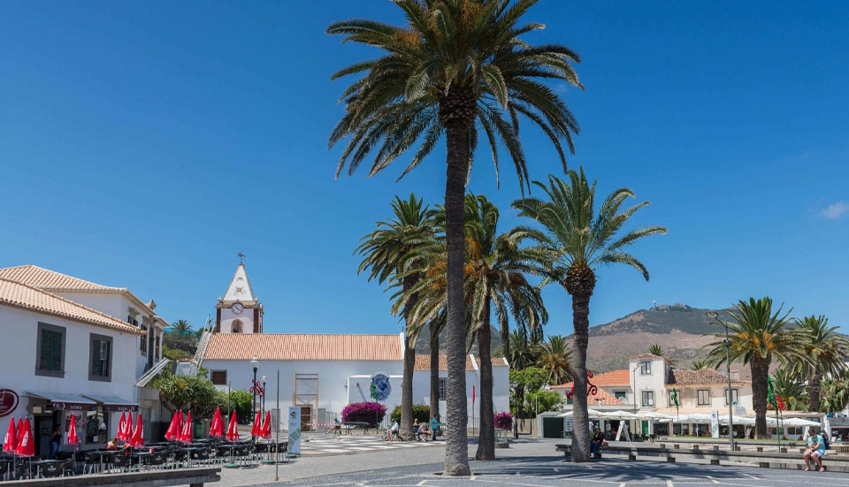 www.tripmadeira.com