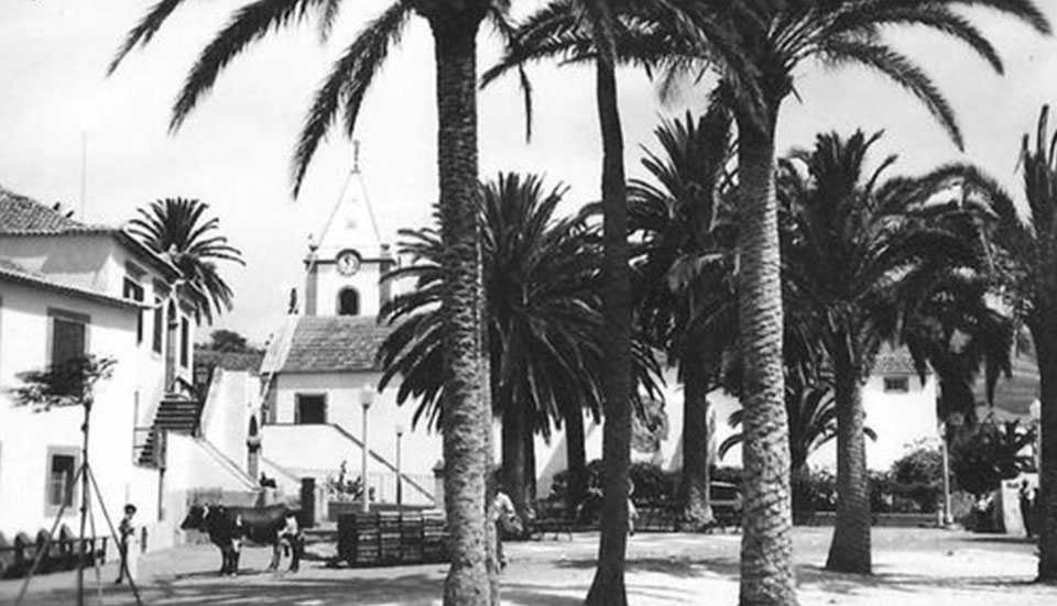 www.tripmadeira.com