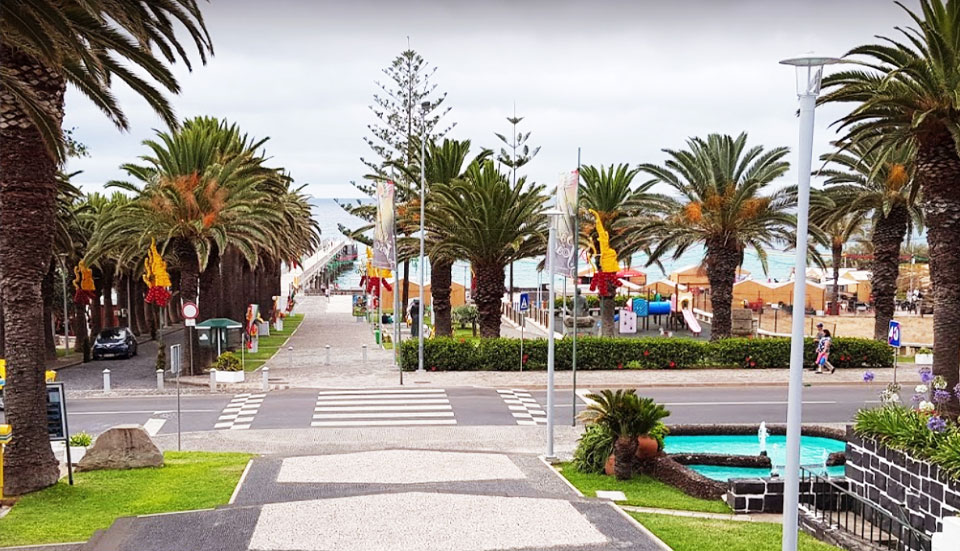 www.tripmadeira.com