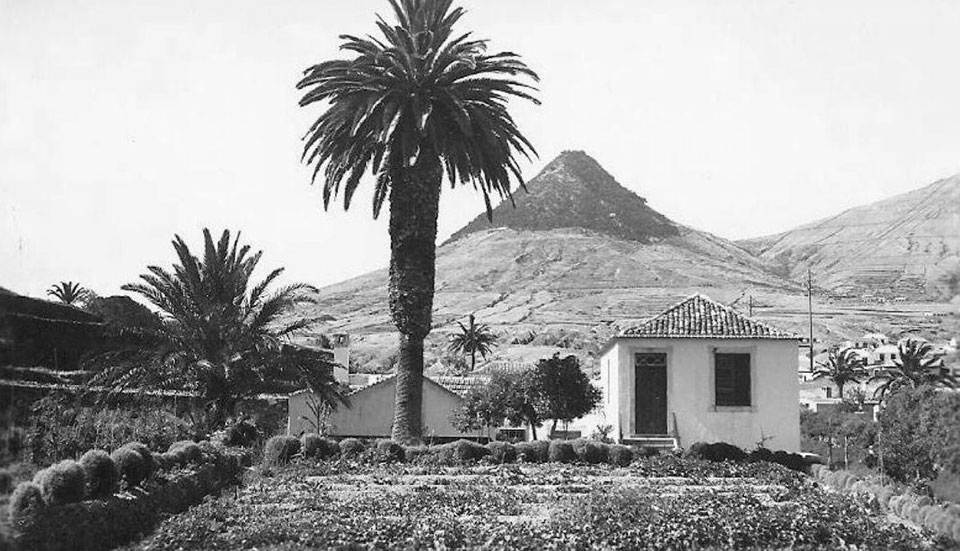 www.tripmadeira.com