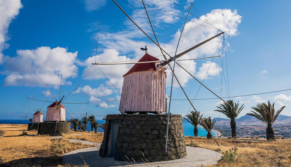 www.tripmadeira.com