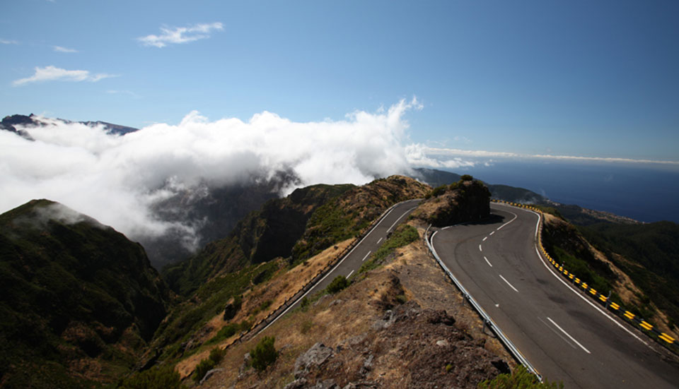 www.tripmadeira.com