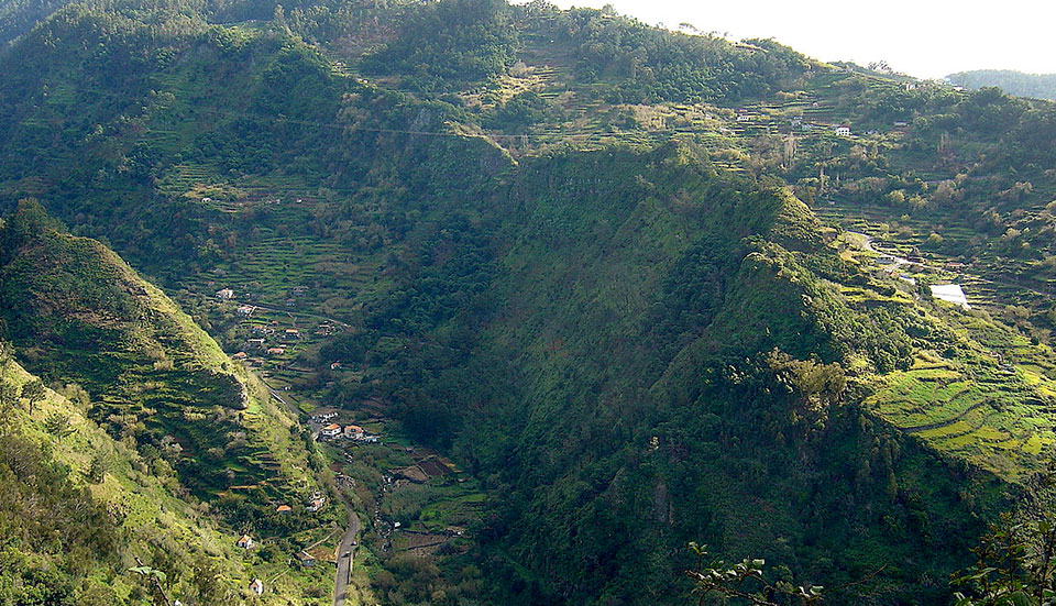 www.tripmadeira.com
