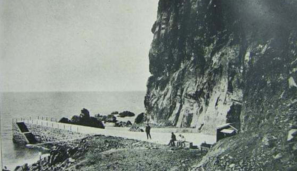 www.tripmadeira.com
