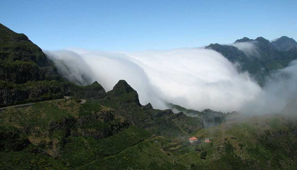 www.tripmadeira.com