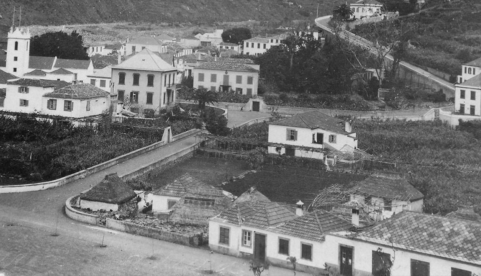 www.tripmadeira.com