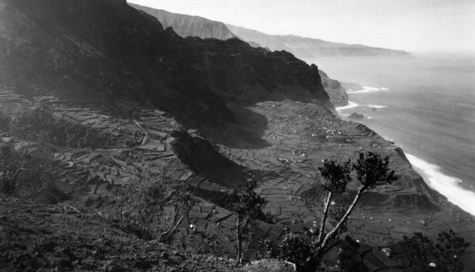 www.tripmadeira.com www.tripmadeira.com