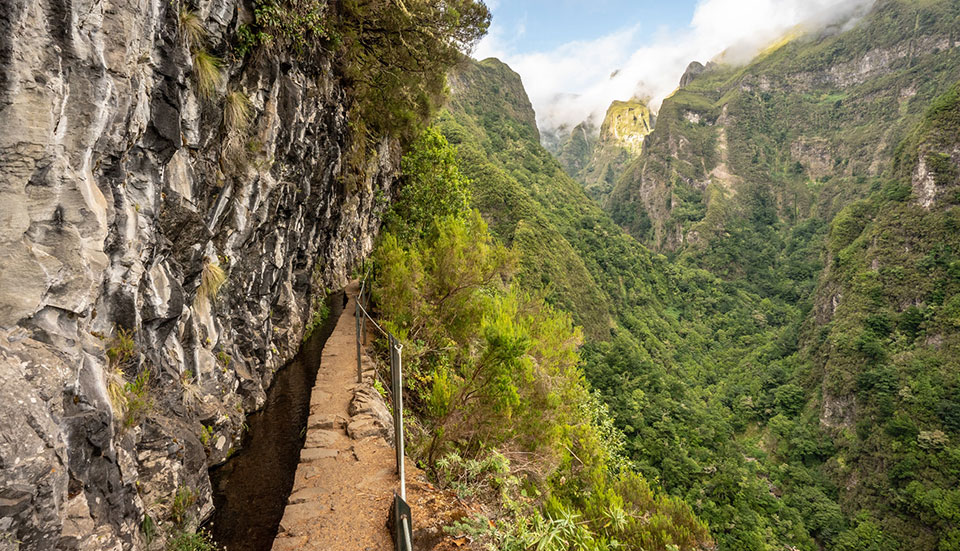 www.tripmadeira.com www.tripmadeira.com