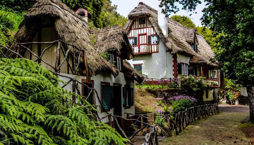 www.tripmadeira.com www.tripmadeira.com