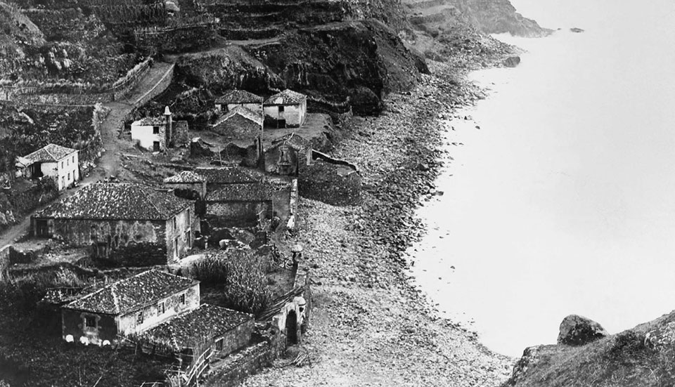 www.tripmadeira.com www.tripmadeira.com